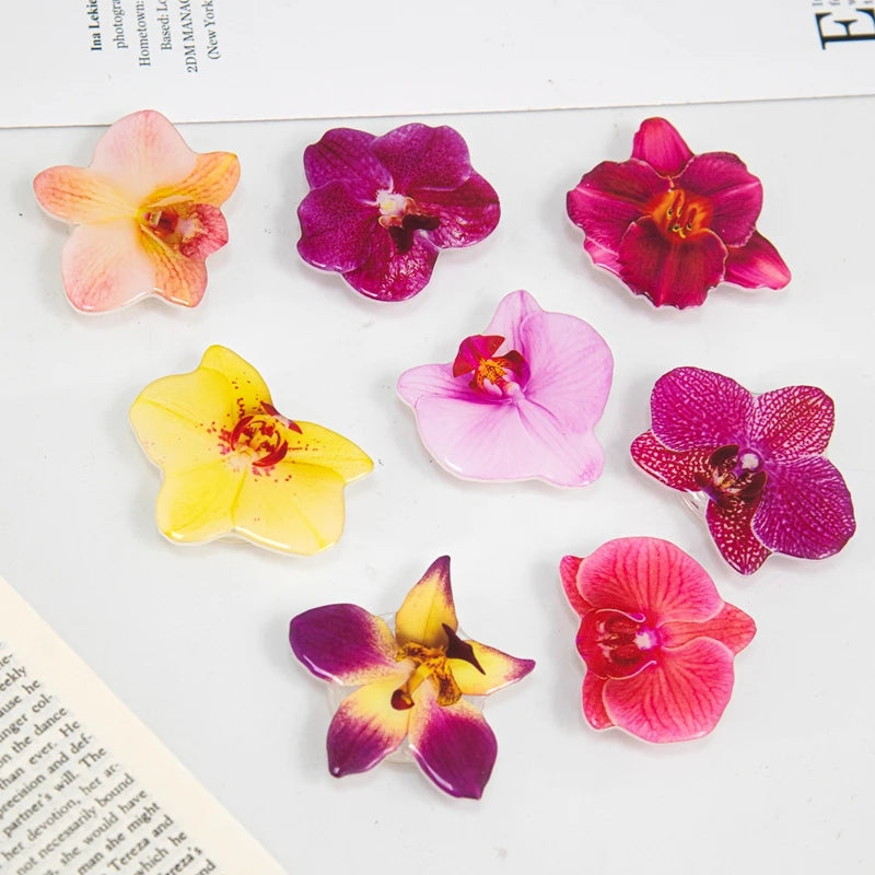 Orchid Acrylic Socket Grip Phone Holder Folding Ring Phone Support Socket Cymbidium Phone Stand Grip Internet Celebrity